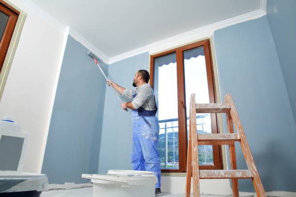 Best Forensic Mold Investigation  in Forest View, IL