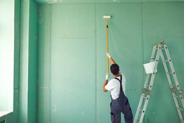 Best Commercial Mold Inspection  in Forest View, IL