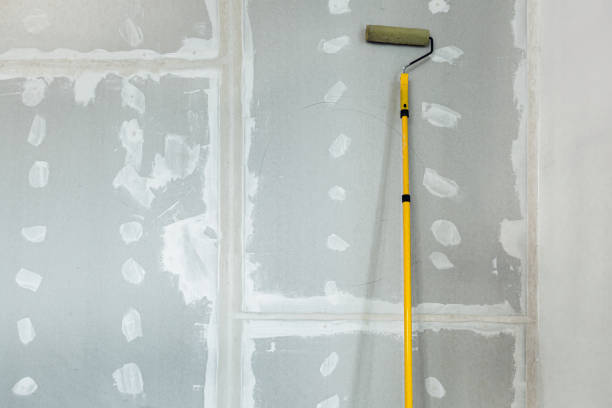 Best Mold Remediation for Healthcare Facilities  in Forest View, IL