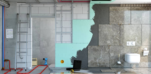 Reliable Forest View, IL Mold Removal Solutions