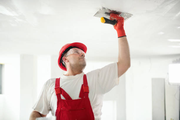 Best Water Damage & Mold Remediation  in Forest View, IL