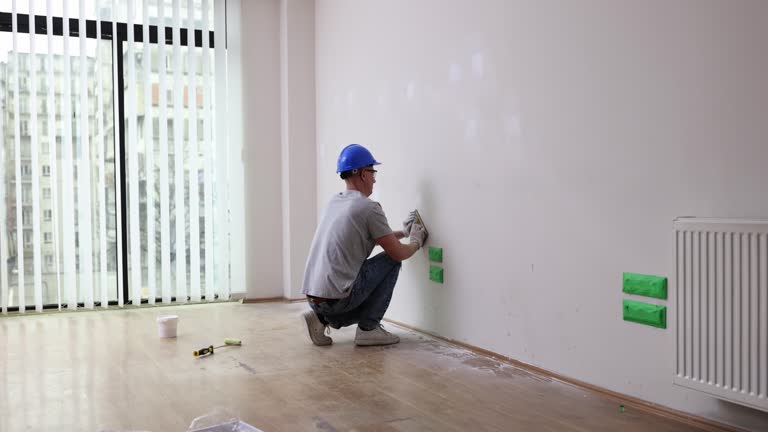 Best Basement Mold Removal  in Forest View, IL