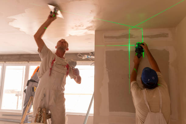 Best Mold Remediation for Healthcare Facilities  in Forest View, IL