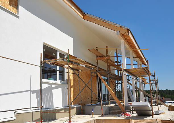 Best Emergency Mold Remediation  in Forest View, IL